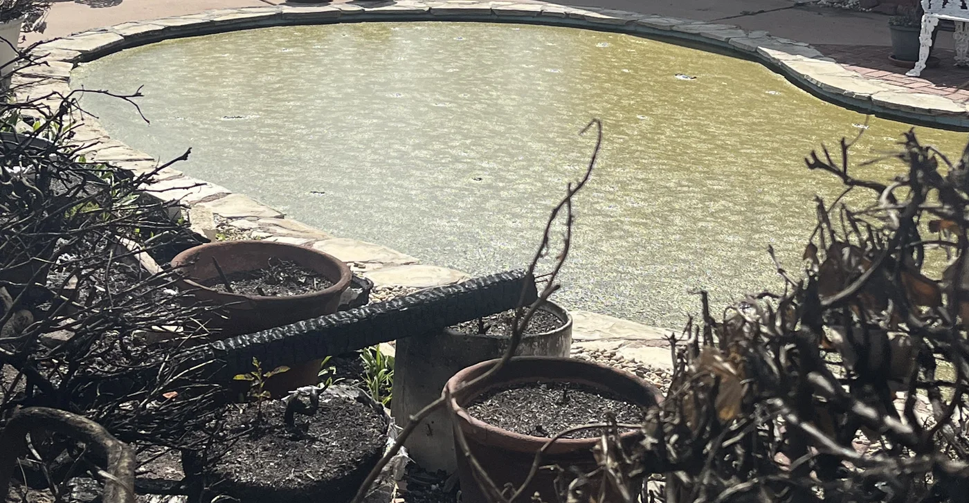 Well-maintained inground pool in a Southern California backyard