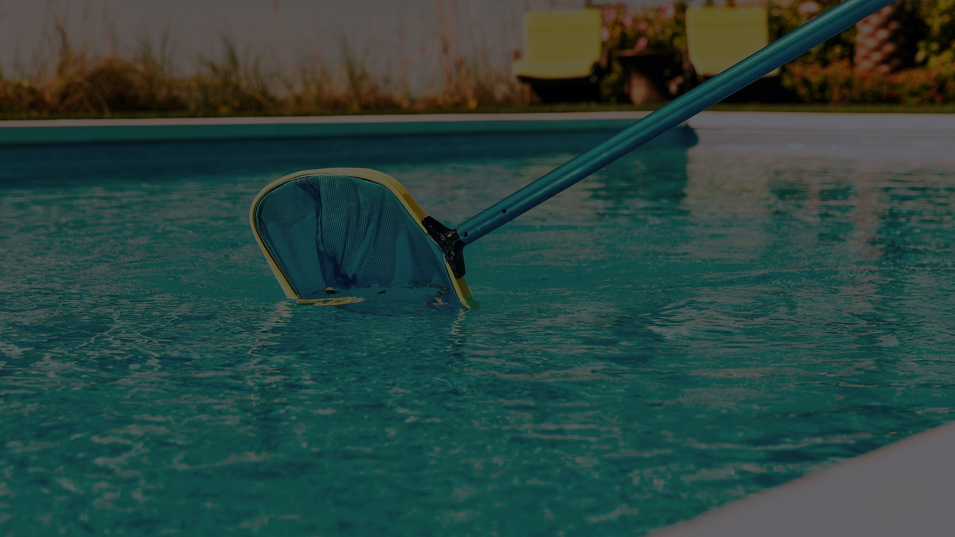 Pool technician skimming a clean pool in Los Angeles